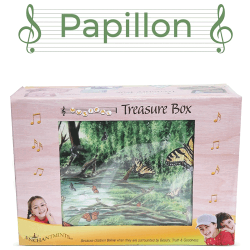 Papillon-Butterfly-Box-box
