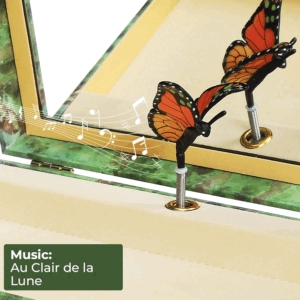 Papillon-Butterfly-Box-close