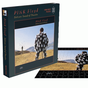 Pink-Floyd-Thunder-close