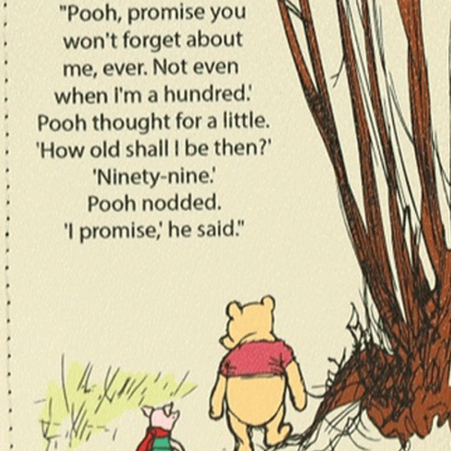 Pooh-Wallet-back-close
