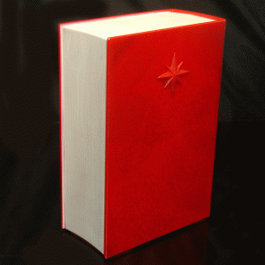 Santa-Sleigh-Red-Book-back-left