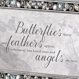 Silver-Butterflies-Hover-close
