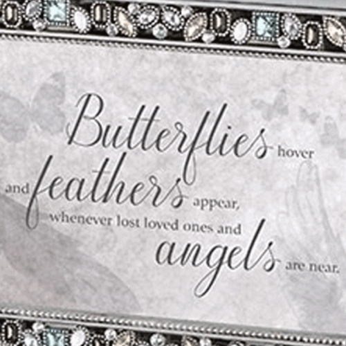 Silver-Butterflies-Hover-close