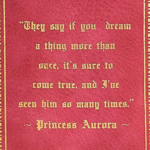 Sleeping-Beauty-Wallet-back-close