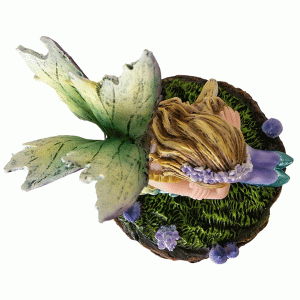 Small-Lavender-Fairy-top