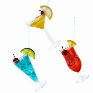 Tropical-Drink-Set