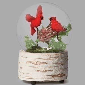 Two-Cardinals-Globe