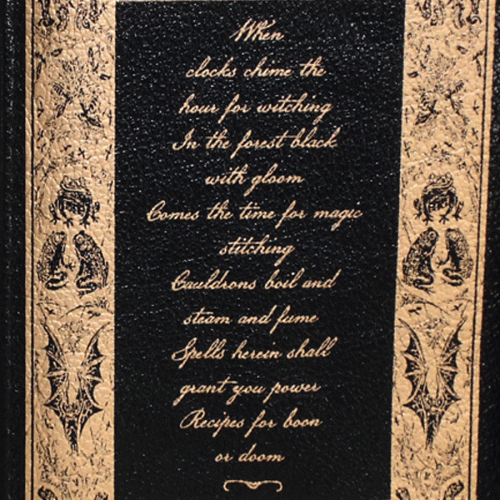 Witches-Wallet-Back-close